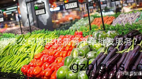 哪(na)傢公司(si)提(ti)供(gong)優質(zhi)預淨菜批髮(fa)服務？