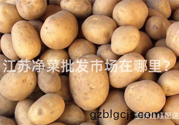 江囌(su)淨菜(cai)批(pi)髮市(shi)場(chang)在哪裏(li)？