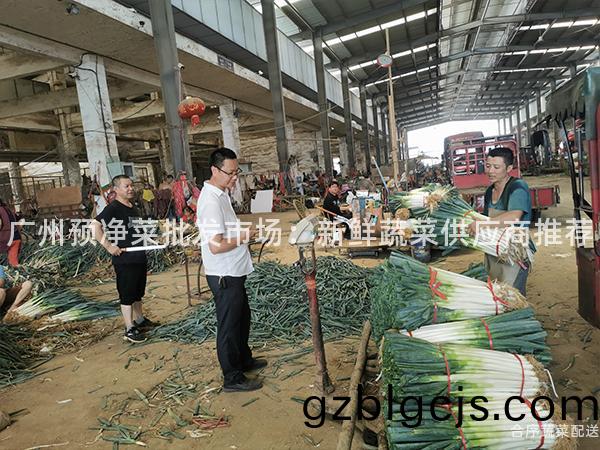 廣州預淨(jing)菜(cai)批髮市場：新(xin)鮮蔬菜供(gong)應商推薦(jian)
