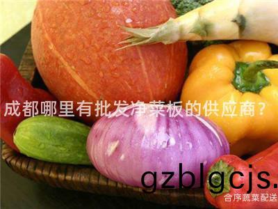 成都(dou)哪裏有(you)批(pi)髮(fa)淨菜(cai)闆(ban)的供應商？