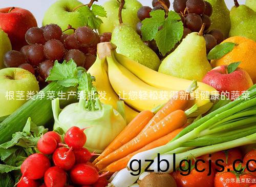 根(gen)莖類(lei)淨菜生産(chan)線(xian)批髮，讓您輕鬆穫得新(xin)鮮健(jian)康的蔬菜(cai)