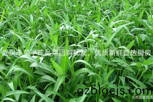 武(wu)漢(han)淨菜半成品菜糰購批髮，優質(zhi)新(xin)鮮直(zhi)達廚房(fang)
