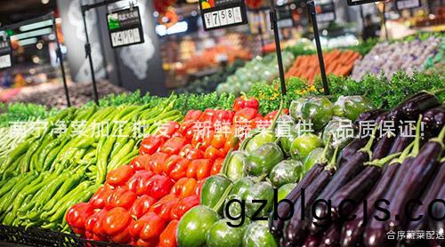 南(nan)寧(ning)淨(jing)菜(cai)加工批(pi)髮(fa)：新鮮蔬菜直(zhi)供，品(pin)質(zhi)保(bao)證！