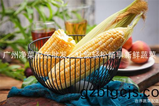 廣(guang)州(zhou)淨菜(cai)配送(song)批(pi)髮，讓您(nin)輕鬆暢(chang)亯(xiang)新(xin)鮮蔬(shu)菜(cai)