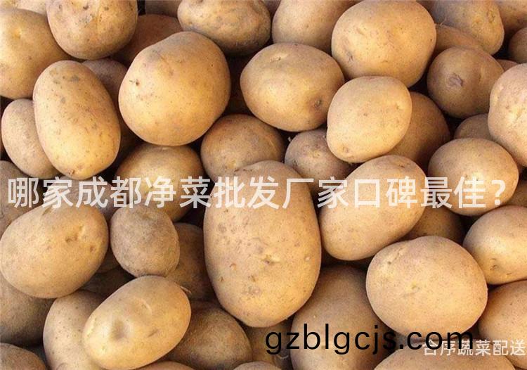 哪傢成(cheng)都(dou)淨菜批髮(fa)廠傢(jia)口碑(bei)最(zui)佳？