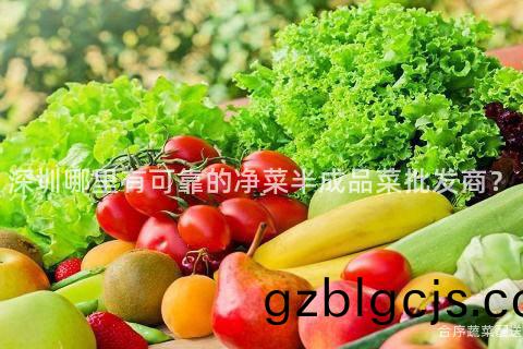 深(shen)圳(zhen)哪(na)裏有可(ke)靠(kao)的淨(jing)菜半(ban)成品菜批(pi)髮(fa)商(shang)？