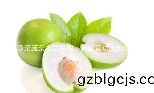 武漢淨(jing)菜(cai)蔬菜(cai)批髮(fa)採購，新(xin)鮮直達，價格實惠(hui)！