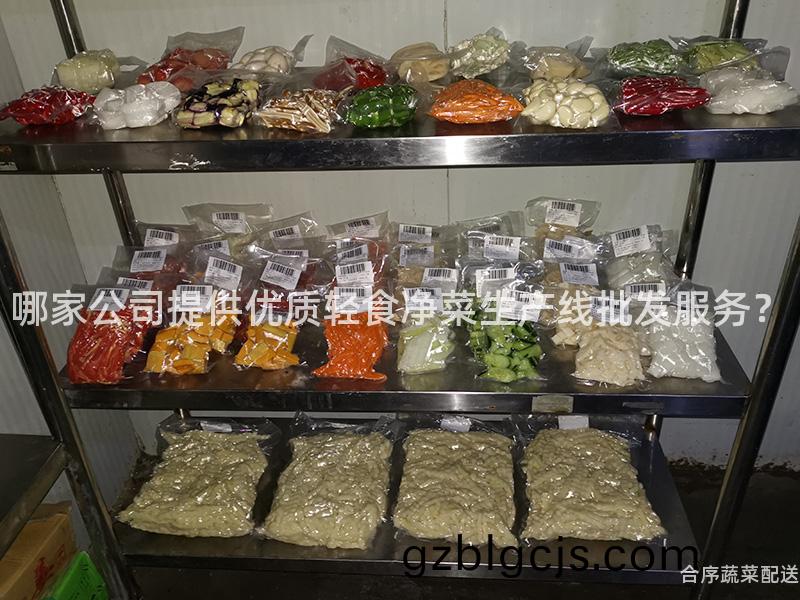 哪傢公(gong)司提(ti)供優質輕食淨(jing)菜(cai)生(sheng)産(chan)線(xian)批髮服務(wu)？