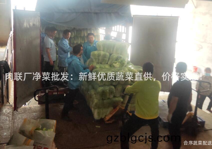 肉(rou)聯(lian)廠(chang)淨(jing)菜(cai)批(pi)髮(fa)：新鮮優(you)質蔬(shu)菜(cai)直(zhi)供，價格(ge)實(shi)惠！