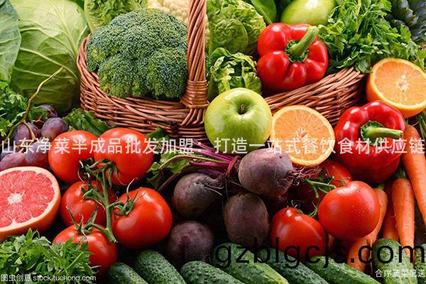 山東(dong)淨(jing)菜(cai)半(ban)成(cheng)品(pin)批髮(fa)加盟：打(da)造一站式餐(can)飲食(shi)材供應鏈(lian)