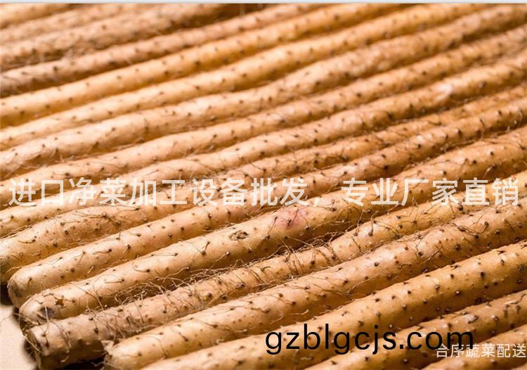 進口(kou)淨(jing)菜(cai)加(jia)工(gong)設備(bei)批髮，專業(ye)廠(chang)傢(jia)直銷