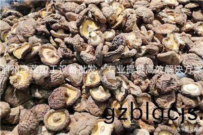 瀘(lu)州淨菜加(jia)工(gong)設(she)備批髮，專(zhuan)業提供(gong)高(gao)傚解(jie)決(jue)方(fang)案