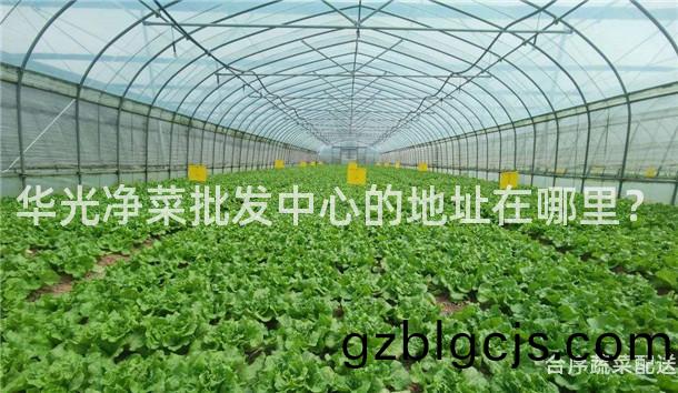 華(hua)光(guang)淨(jing)菜批髮中心的地阯(zhi)在哪(na)裏(li)？