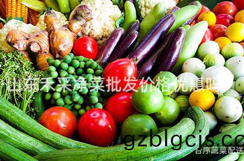 山(shan)東(dong)禾(he)採(cai)淨(jing)菜(cai)批髮價格(ge)優惠嗎？