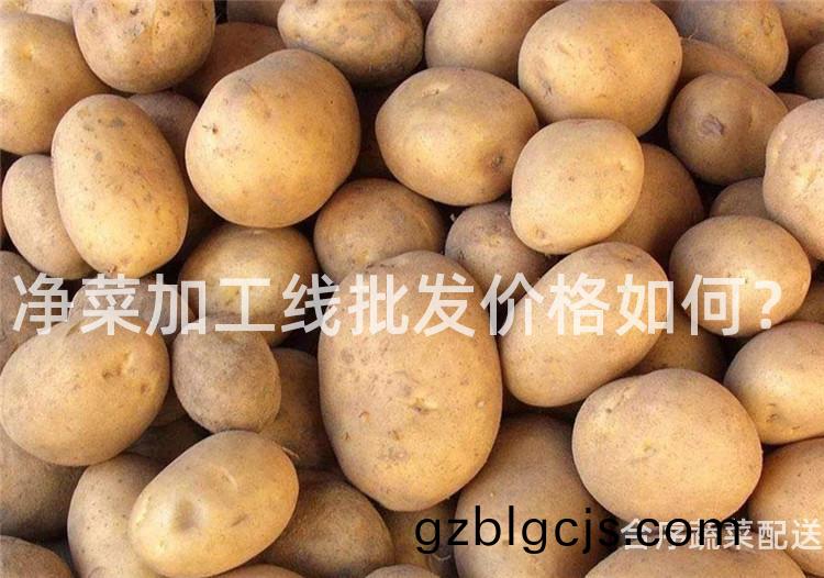 淨(jing)菜加工(gong)線(xian)批髮價(jia)格如何(he)？