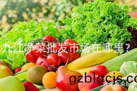 九(jiu)江淨(jing)菜(cai)批髮市(shi)場(chang)在(zai)哪(na)裏(li)？
