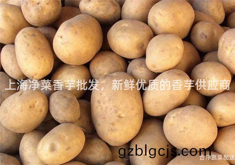 上(shang)海(hai)淨(jing)菜香(xiang)芋(yu)批髮，新鮮優質的(de)香芋(yu)供應商(shang)