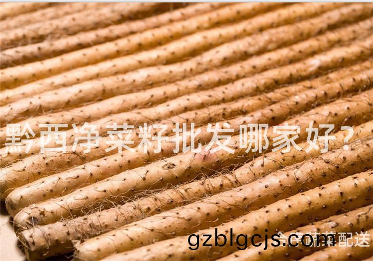 黔西(xi)淨(jing)菜(cai)籽批髮(fa)哪傢好(hao)？