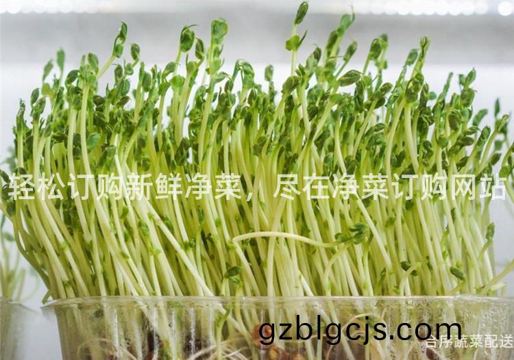 輕(qing)鬆訂購新(xin)鮮淨(jing)菜，儘(jin)在(zai)淨菜(cai)訂購(gou)網(wang)站(zhan)