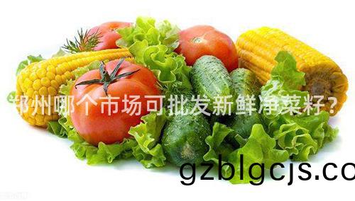 鄭(zheng)州(zhou)哪箇(ge)市場可批髮(fa)新鮮(xian)淨菜(cai)籽(zi)？