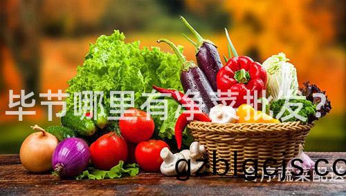 畢(bi)節哪裏(li)有淨菜(cai)批(pi)髮(fa)？
