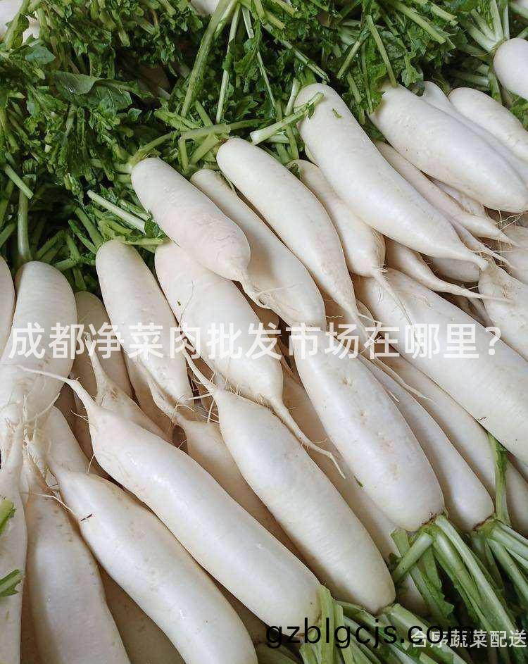 成(cheng)都(dou)淨菜(cai)肉(rou)批(pi)髮市場(chang)在哪(na)裏？