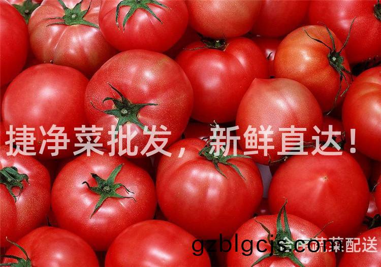 捷淨(jing)菜批髮(fa)，新鮮直達(da)！