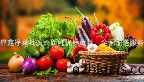 晶(jing)鑫淨菜(cai)批(pi)髮(fa)：新(xin)鮮優(you)質(zhi)蔬(shu)菜(cai)，全國配送服務(wu)
