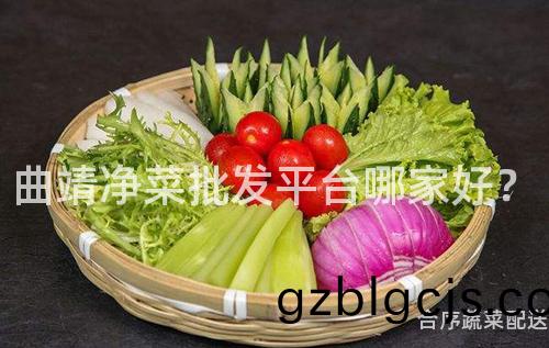 麯靖淨(jing)菜(cai)批(pi)髮(fa)平(ping)檯哪傢(jia)好？