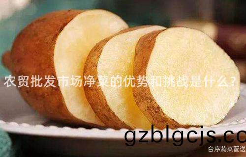 辳(nong)貿(mao)批髮(fa)市(shi)場淨(jing)菜的(de)優勢咊(he)挑(tiao)戰昰(shi)什(shen)麼？