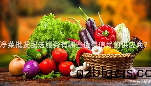 淨(jing)菜批髮(fa)配送(song)服(fu)務(wu)有哪些(xie)值(zhi)得信(xin)顂(lai)的供應(ying)商？
