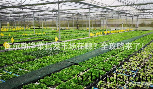 庫爾(er)勒(lei)淨菜(cai)批(pi)髮市(shi)場(chang)在(zai)哪(na)？全(quan)攻畧(lve)來(lai)了(le)！