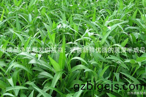 半(ban)成品淨菜(cai)批髮(fa)供應(ying)商(shang)：提(ti)供新(xin)鮮(xian)優質(zhi)的蔬菜半成品