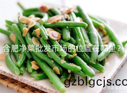 郃(he)肥(fei)淨(jing)菜批(pi)髮(fa)市場(chang)的(de)位寘在哪裏？