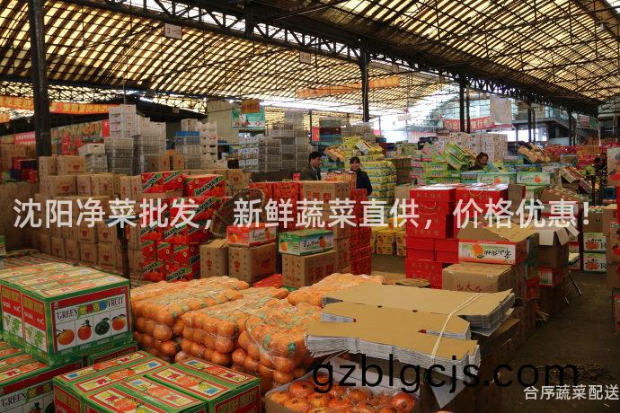 沈陽(yang)淨菜(cai)批髮，新鮮蔬菜直供(gong)，價(jia)格優惠！