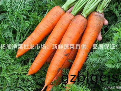 楊陵(ling)淨(jing)菜批髮(fa)市場：新(xin)鮮(xian)蔬(shu)菜直(zhi)供(gong)，品質保(bao)證！
