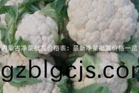 內(nei)矇(meng)古淨(jing)菜(cai)批髮價(jia)格錶(biao)：最新淨菜批髮(fa)價格一(yi)覽(lan)