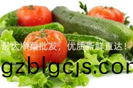 最大淨菜(cai)批髮，優質新(xin)鮮(xian)直(zhi)達(da)！