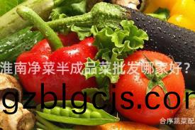 淮(huai)南淨(jing)菜半成品菜批髮哪(na)傢好？