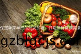 保(bao)定(ding)淨菜半成(cheng)品批(pi)髮(fa)加盟(meng)，打造(zao)新(xin)鮮(xian)健康(kang)美(mei)食(shi)