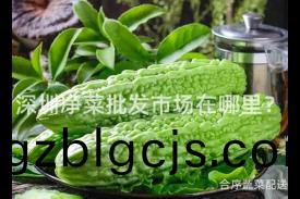 深圳淨菜批(pi)髮(fa)市(shi)場(chang)在哪(na)裏？