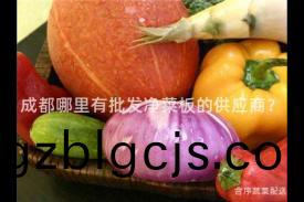 成都哪裏有(you)批(pi)髮(fa)淨菜(cai)闆(ban)的(de)供應商(shang)？