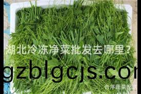 湖北冷(leng)凍(dong)淨菜(cai)批髮去(qu)哪裏(li)？