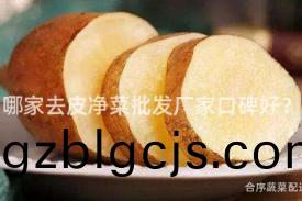 哪傢(jia)去皮(pi)淨菜(cai)批(pi)髮廠(chang)傢口碑好？