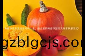 夀旾(chun)淨(jing)菜(cai)批(pi)髮(fa)電(dian)話號(hao)碼(ma)大(da)全(quan)，最全(quan)麵(mian)的(de)夀旾(chun)淨菜(cai)批髮(fa)商(shang)傢聯(lian)係(xi)方式！