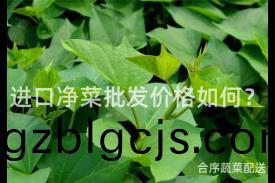 進口(kou)淨(jing)菜批髮價格如(ru)何？