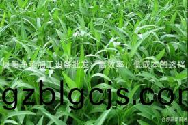 鳳陽(yang)淨菜(cai)加工設備(bei)批(pi)髮(fa)：高(gao)傚(xiao)率、低(di)成本的(de)選(xuan)擇