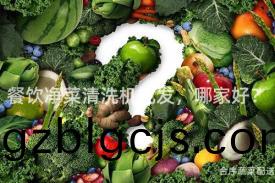 餐飲淨(jing)菜清(qing)洗(xi)機批(pi)髮，哪傢(jia)好？