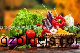 北(bei)京(jing)淨菜批髮市(shi)場：新鮮(xian)蔬菜(cai)直(zhi)供，品質(zhi)保證！