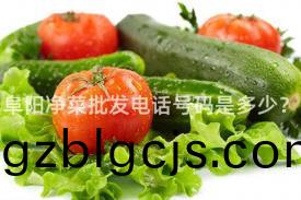 阜(fu)陽(yang)淨(jing)菜(cai)批(pi)髮(fa)電(dian)話號(hao)碼(ma)昰(shi)多少？